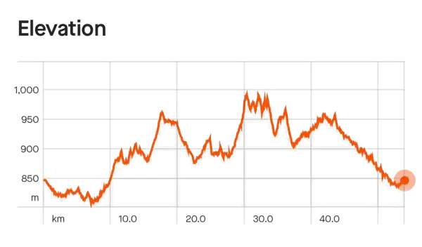 50km Elevation
